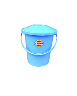 Mr.Clean-10 ltr(40pc)(1 Pc Price- Rs.255/-)